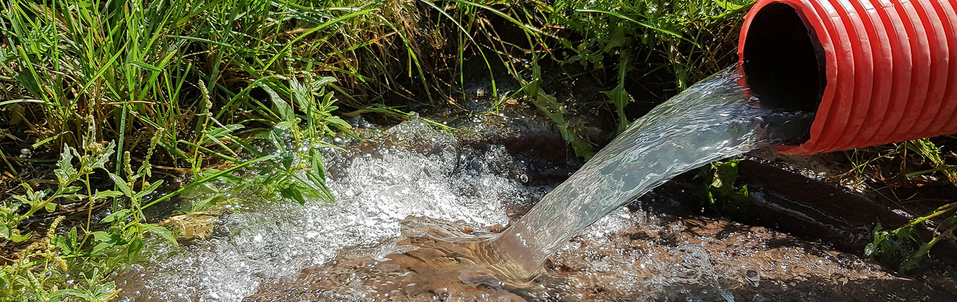 Automating headspace–trap for the routine screening of environmental toxins in wastewater