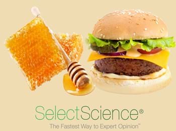 Website Homepage Image Markes Honey And Burger (Food Webinar)