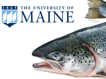 Uni Of Main Case Study Hero Banner