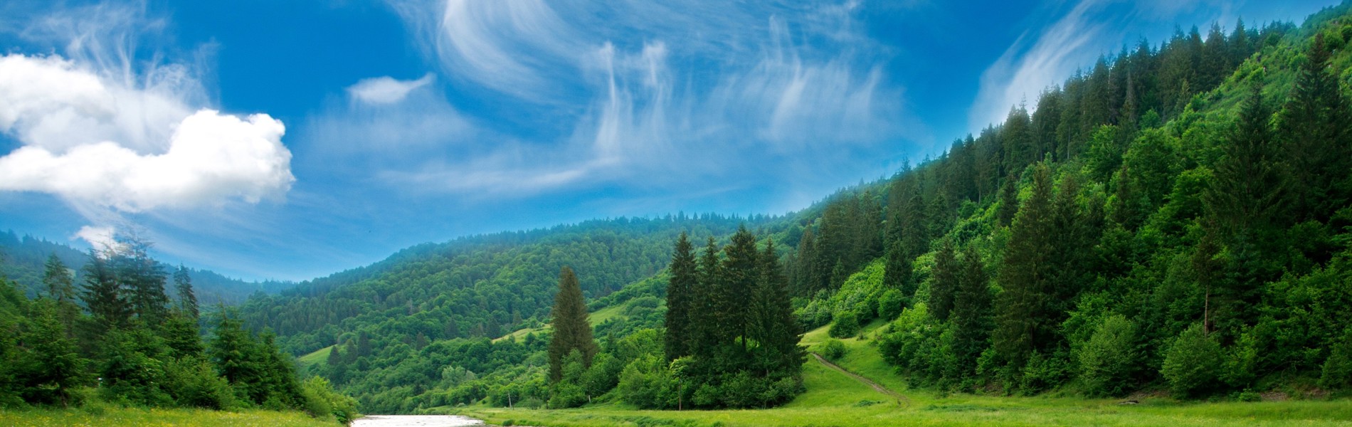 Compliance and beyond: TD-GC-MS approaches for evolving air quality monitoring