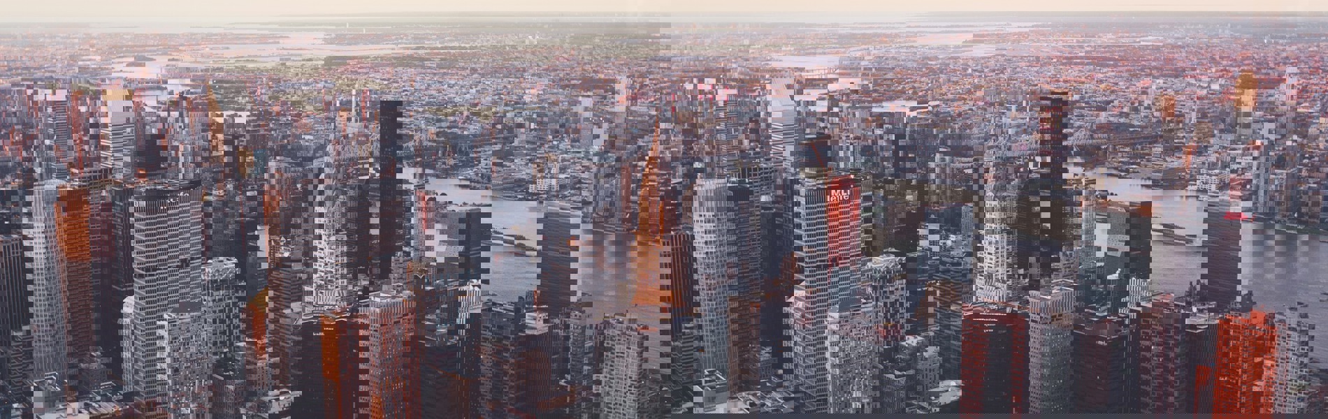 PAMS Analysis during COVID-19 Lockdowns in New York City