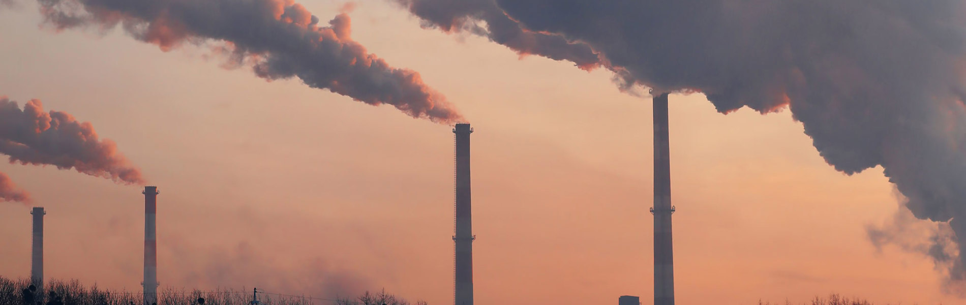Real-world implementation of dual canister and tube analysis of hazardous air pollutants using TD–GC–MS