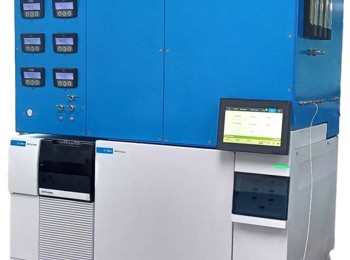 Medusa With Markes Logo Right