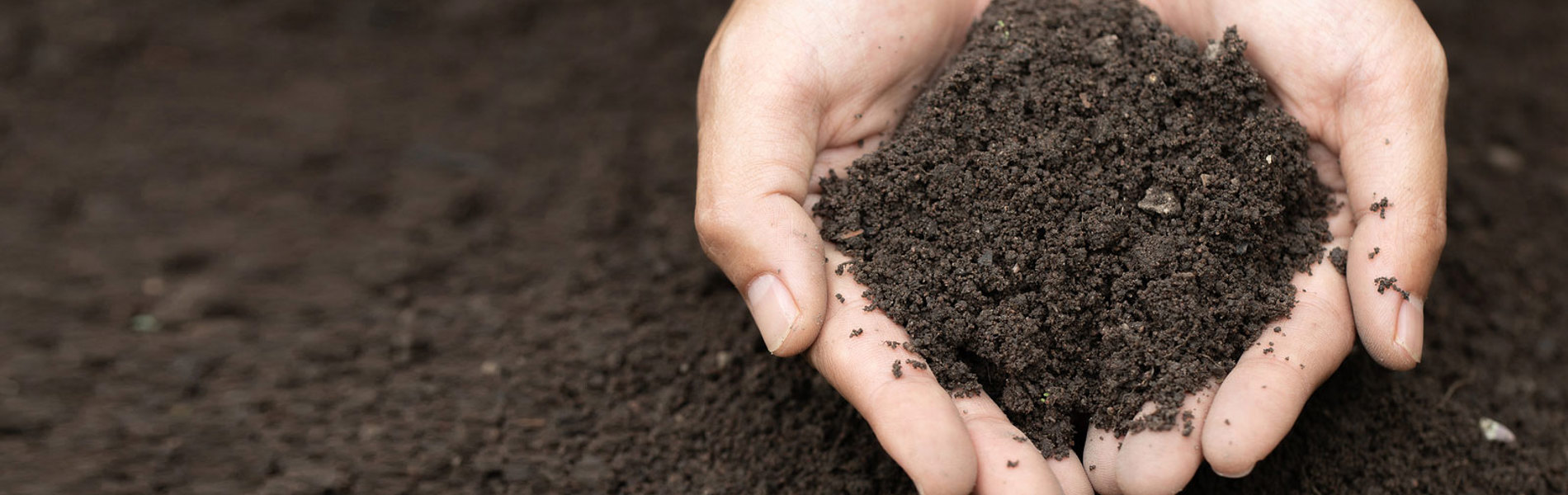 The science beneath your feet - untargeted approaches to volatile organic compound (VOC) emissions from soil
