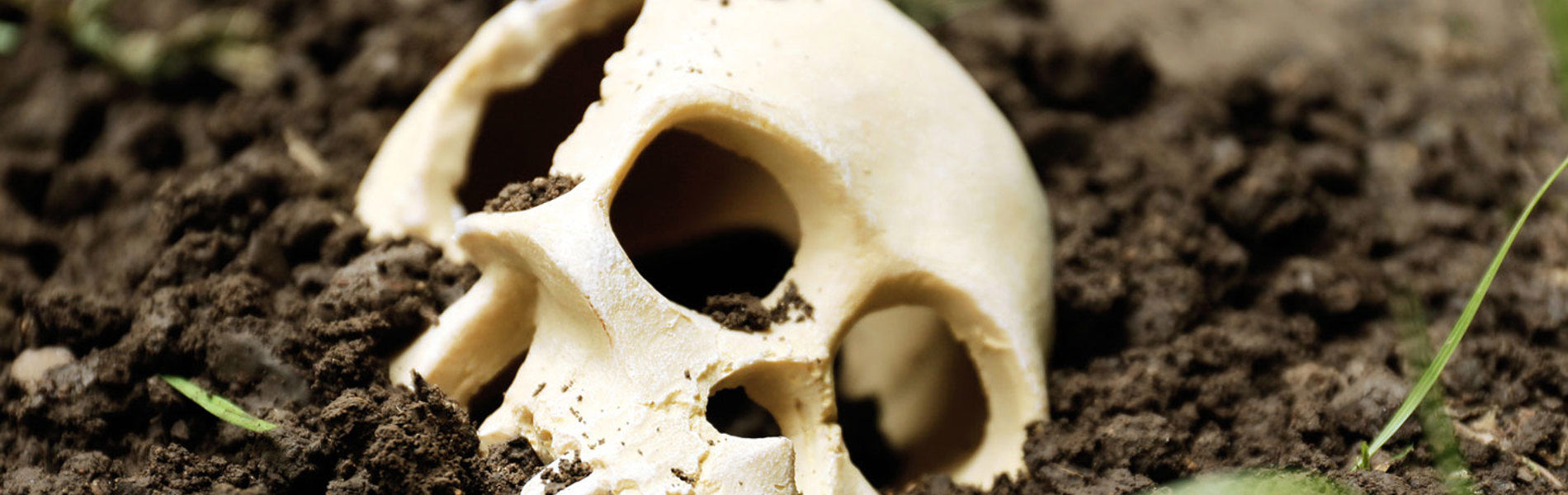TD Applications Guide - Defence and forensic